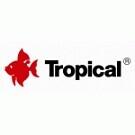 Tropical - logo